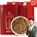 一杯香茶叶新茶金骏眉红茶武夷山蜜香高山罐装礼盒小种正山春茶250g