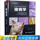 猪病学(第11版十一版) 9787559121295杨汉春译 猪病防治技术猪病诊疗猪病预防猪场兽医猪病管猪场兽医工具书猪病学新版