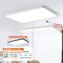 雷士照明LED吸顶灯家用客厅灯圆形北欧灯具简约现代房间灯卧室灯 长 白 60*40cm60w无极