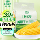 十月稻田 黄糯玉米1.6kg(200g*8)非转基因 东北玉米 甜糯玉米棒 杂粮 轻食