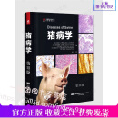 【2021新书】猪病学(第11版) 杨汉春 猪病防治技术  猪病治疗 猪病预防 猪兽医 猪病诊断 养