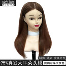 创京懿选带肩膀编发头模真发头模理发店学徒练习剪发公仔头假人头可烫染剪 大耳朵16寸棕色[95%]