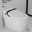 麦德琪德国麦德琪MDQ智能马桶MT093E德国带水箱全自动即热遥控彩色马桶 雅致白