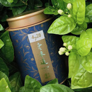 斤斤屋迷4728老味道茉莉花茶福建茉莉花茶随心随泡茶礼品礼盒装 罐