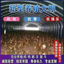 养殖大棚全套大棚骨架家用温室种植棚专业养鸡棚羊棚牛棚养猪大棚 顶配双侧通风养殖（含黑白膜） 8米宽15米长