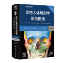 【系解版】奈特人体解剖学彩色图谱：系统解剖学（第8版）全新版本 英汉双语 人民卫生出版社