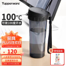 特百惠（Tupperware）茶韵500ML塑料杯 男女学生便携办公用水杯子大容量双饮口 酷炫黑