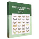 竹林生态系统昆虫图鉴(第2卷)