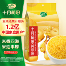 十月稻田 黄小米 1kg（小米粥 五谷杂粮 小黄米 米饭伴侣 粥米 ）