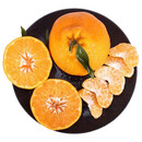 春见耙耙柑约1kg