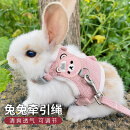 派乐特 兔子牵引绳胸背套装可调节遛溜兔用品链子小宠物S号