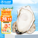 乳山牡蛎【源头直发】鲜活乳山生蚝3XL号 户外烧烤食材 净重2.5kg 15-20只