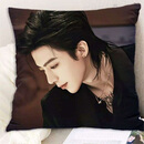 刘宇宁抱枕摩登兄弟双面靠垫闺蜜同学生日礼物房间床头靠枕头 刘宇宁3 45x45cm(枕芯+枕套)