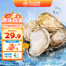 乳山牡蛎【源头直发】鲜活乳山生蚝2XL号 海鲜烧烤食材 净重3斤装 10-15只