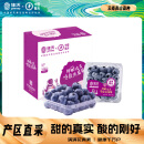 佳沃（joyvio）云南当季蓝莓14mm+ 12盒原箱 约125g/盒 生鲜水果