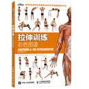 拉伸训练彩色图谱（异步图书出品）京东618活动