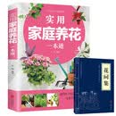 实用家庭养花一本通+花间集（全2册）花卉养护知识 养花教程花卉知识介绍种植栽培