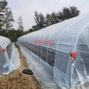 蔬菜温室大棚骨架全套鸡棚羊棚牛棚猪棚半坡式大棚 镀锌管圆管 8米宽40米长标配送膜