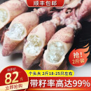 海宏盈 海兔 笔管鱼 1000g 满籽海兔子带籽籽乌青岛海鲜火锅烧烤食材