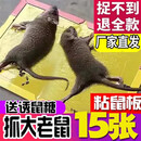 卫亮超强力粘鼠板花生味占大老鼠贴强力粘鼠板粘板加诱饵胶帖纸家用 15张装超值装-抓大老鼠-TVIE