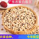 伟皖白眉豆广东农家自种白缸豆白豆白饭豆种孑煲汤新鲜新货干豆 一斤白眉豆