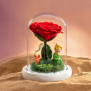 RoseBox小王子的玫瑰花鲜永生花礼盒母亲节520情人节生日礼物送女友老婆