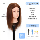 名发轩美发头模全真发公仔头理发店学徒练习剪发模特头可烫染造型假人头 新款A14寸 棕色系 35cm 【中短发】 小支架