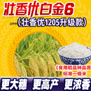 新种壮香优1205壮香优白金6杂交一级香米水稻种子丝苗香米种杂交 壮香优白金6五袋(2500克)升级款