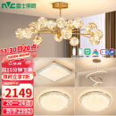 雷士（NVC）客厅灯分子灯北欧星光吊灯创意现代轻奢全屋套餐WHDD80F/G-01