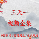 王天一视频课程全集 以上全部内容