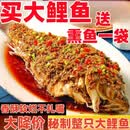 食芳溢红烧黄河大鲤鱼年夜饭整条熟食开袋即热即食送熏鱼 红烧大鲤鱼650g送熏鱼250g