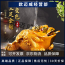 八千行金蟾茶宠摆件高端变色可养吸财茶具配件茶桌风水精品蟾蜍