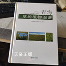 【二手9成新】青海草地植物图谱 (土族)辛有俊 青海人民出版社