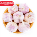 仙果春天2024年新鲜干蒜新鲜农产品生鲜蔬菜多瓣新干蒜大蒜头大蒜 干蒜中果带箱 500g