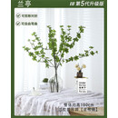 润蕾北欧仿真绿植马醉木日本吊钟假植物客厅插花餐桌装饰品仿真花摆件 大款过胶吊钟3支+大号大肚瓶