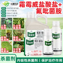 拜耳银法利霜霉威盐酸盐氟吡菌胺 蔬菜果树葡萄霜霉疫病黑胫病杀菌剂 1L