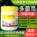 护花匠80%多菌灵杀菌剂花卉多肉植物通用花药百菌淸白粉病除菌剂黑斑病