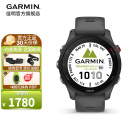 佳明（GARMIN） Forerunner255手表跑步运动智能腕表户外马拉松铁三双频竞速礼物 Forerunner255神秘灰