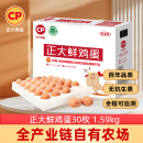 CP  正大 鲜鸡蛋 30枚 1.59kg 早餐食材 优质蛋白  简装 礼盒装
