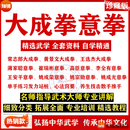 大成拳视频教程意拳教学课程发力站桩散推手单手练习养生技击拳法 网盘发货