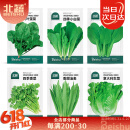 北蔬 蔬菜种子种苗大全生菜香菜菠菜夏季阳台菜籽 6种叶菜类蔬菜种子