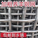 加粗羊床网养羊网鸡鸭鹅狗漏粪板钢丝网养殖围栏网热镀锌轧花编织 2米高*20米长 加粗羊床网3.8mm粗*2cm孔