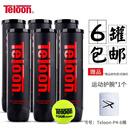 天龙（Teloon） 比赛网球pound罐装耐打训练球 Teloon-P4-6桶+护腕