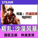 Steam  叛乱:沙漠风暴Insurgency: Sandstorm国区KEY 叛乱:沙漠风暴 游戏本体