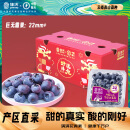 佳沃（joyvio） 云南精选蓝莓巨无霸22mm+ 6盒装 约125g/盒 生鲜水果