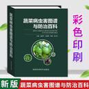 【正版现货】蔬菜病虫害图谱与防治百科蔬菜种植蔬菜病害防治蔬菜诊治图谱蔬菜施肥打药技术 蔬菜病虫害原色图鉴 绿叶菜 书籍 蔬菜病虫害图谱与防治百科