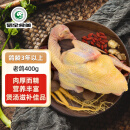 硒全食美富硒老鸽 400g/只 冷冻 供港鸽子生鲜冷链 煲汤优选卤煮食材