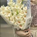 兰韵青瓷-国风剑兰花束鲜花速递全国同城配送 40-50cm