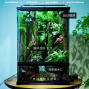 苔藓微景观大型生态雨林缸造景热带植物自动喷淋成品免打理全套 雨林峡谷45x45x65cm带喷淋+流水