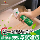 车博士（AUTODOC）绿色空间杀菌喷雾 新车除臭除异味 车居两用除味喷雾剂空气清新剂 GW-03杀菌喷雾 100ml 1瓶